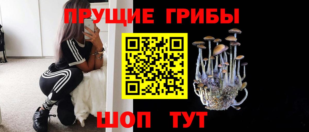 где купить   Псилоцибиновые грибы Cubensis  Вход с VPN  Лыткарино  Галлюциногенные грибы мухоморы 